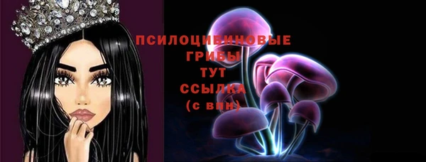 ПСИЛОЦИБИНОВЫЕ ГРИБЫ Алексеевка